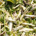 Trituradora eléctrica DESTROI MINIUM - Imagen 2